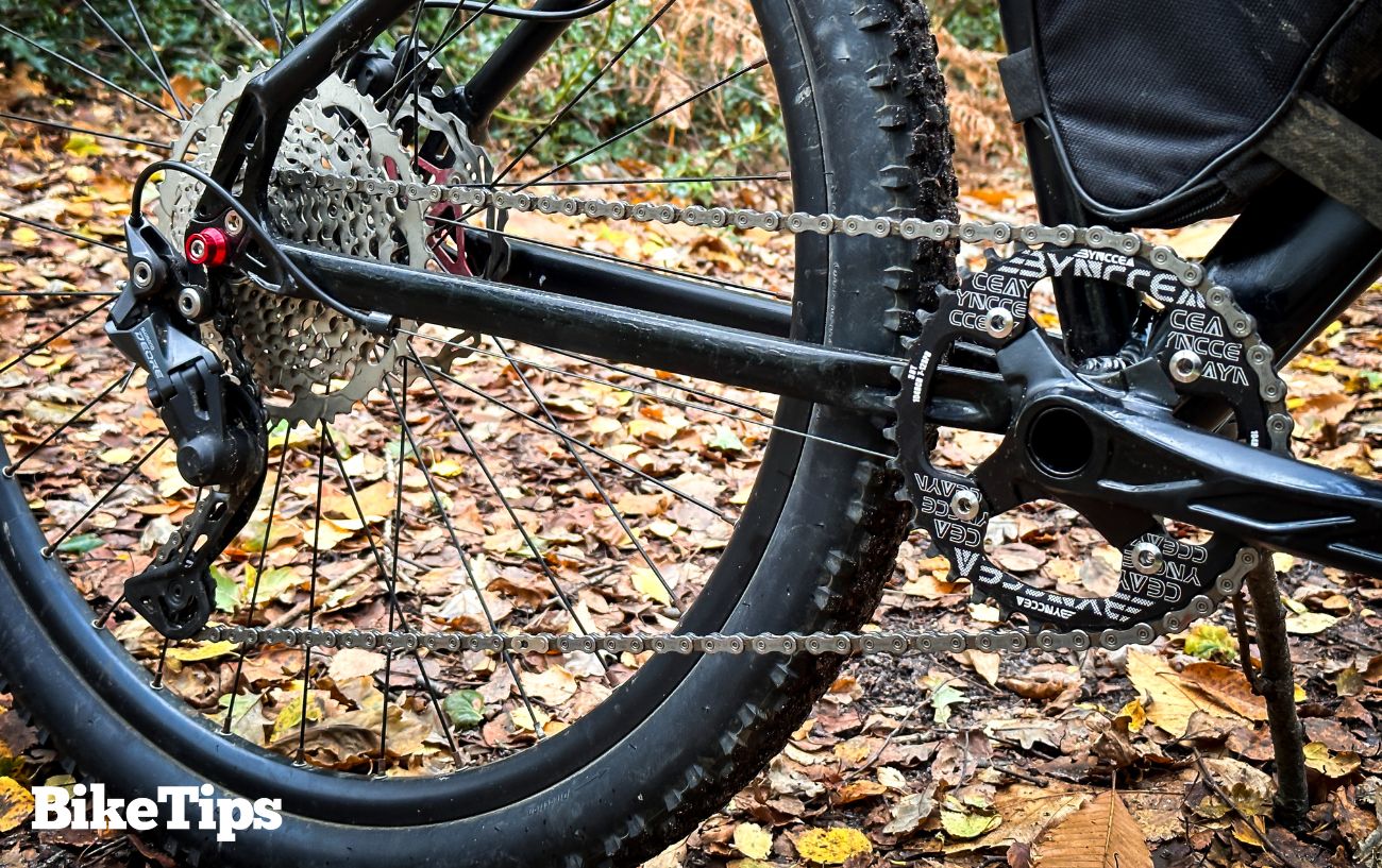 The rear tire and drivetrain of my mountain bike.