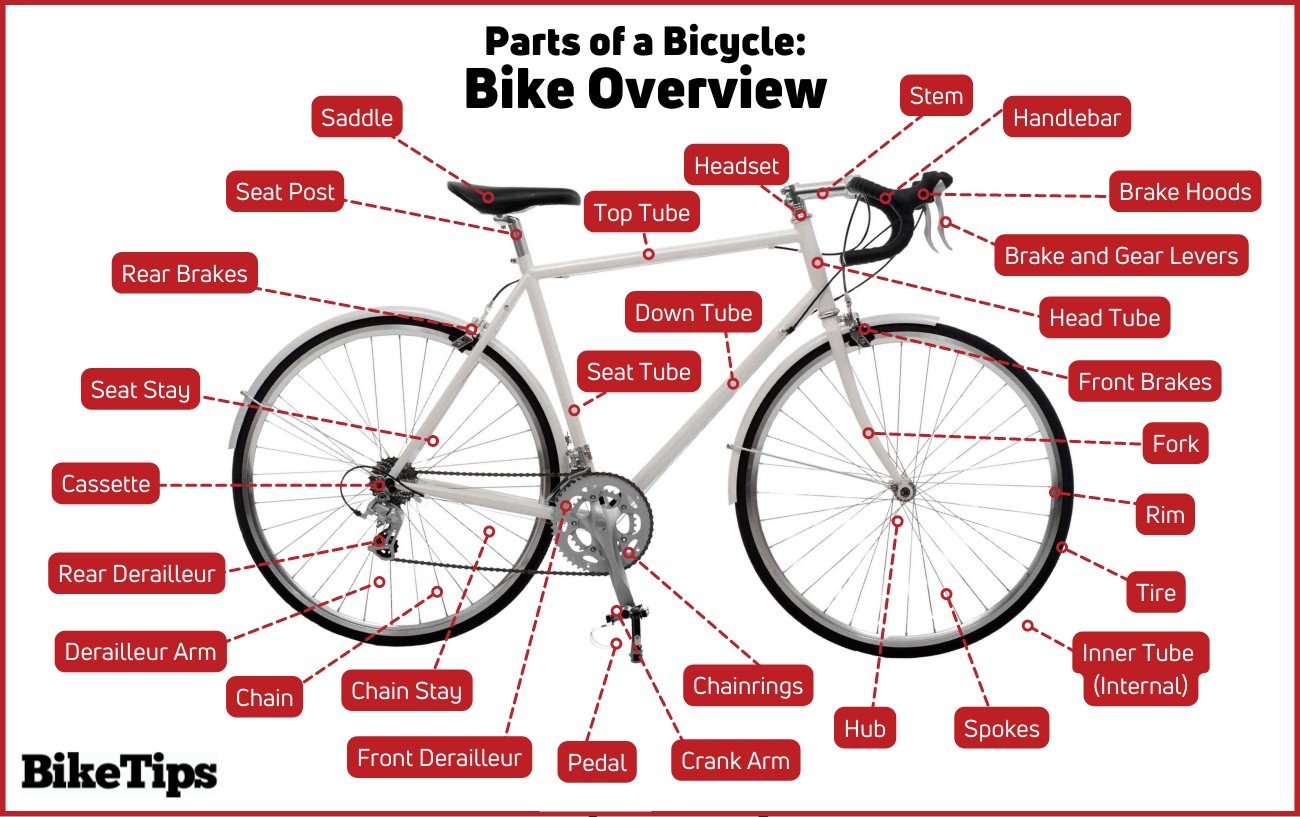 Annotated diagram showing all the main parts of a bike.