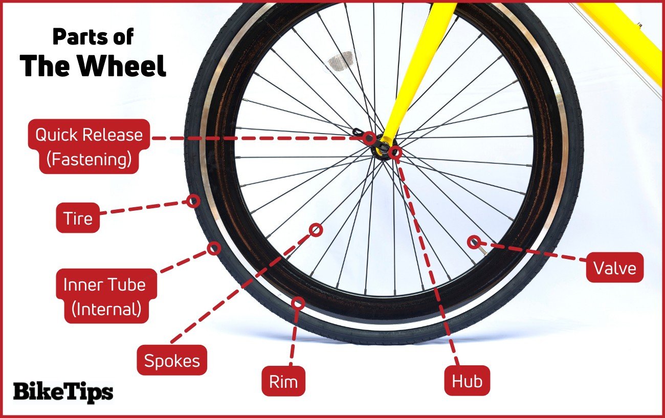 Annotated diagram showing the parts of a bike wheel.