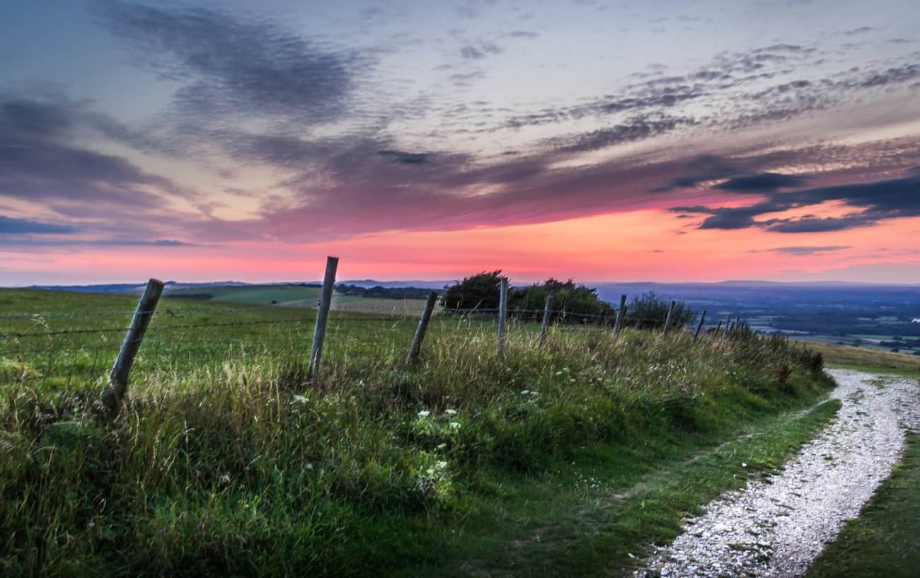 A chalky path on the South Downs.