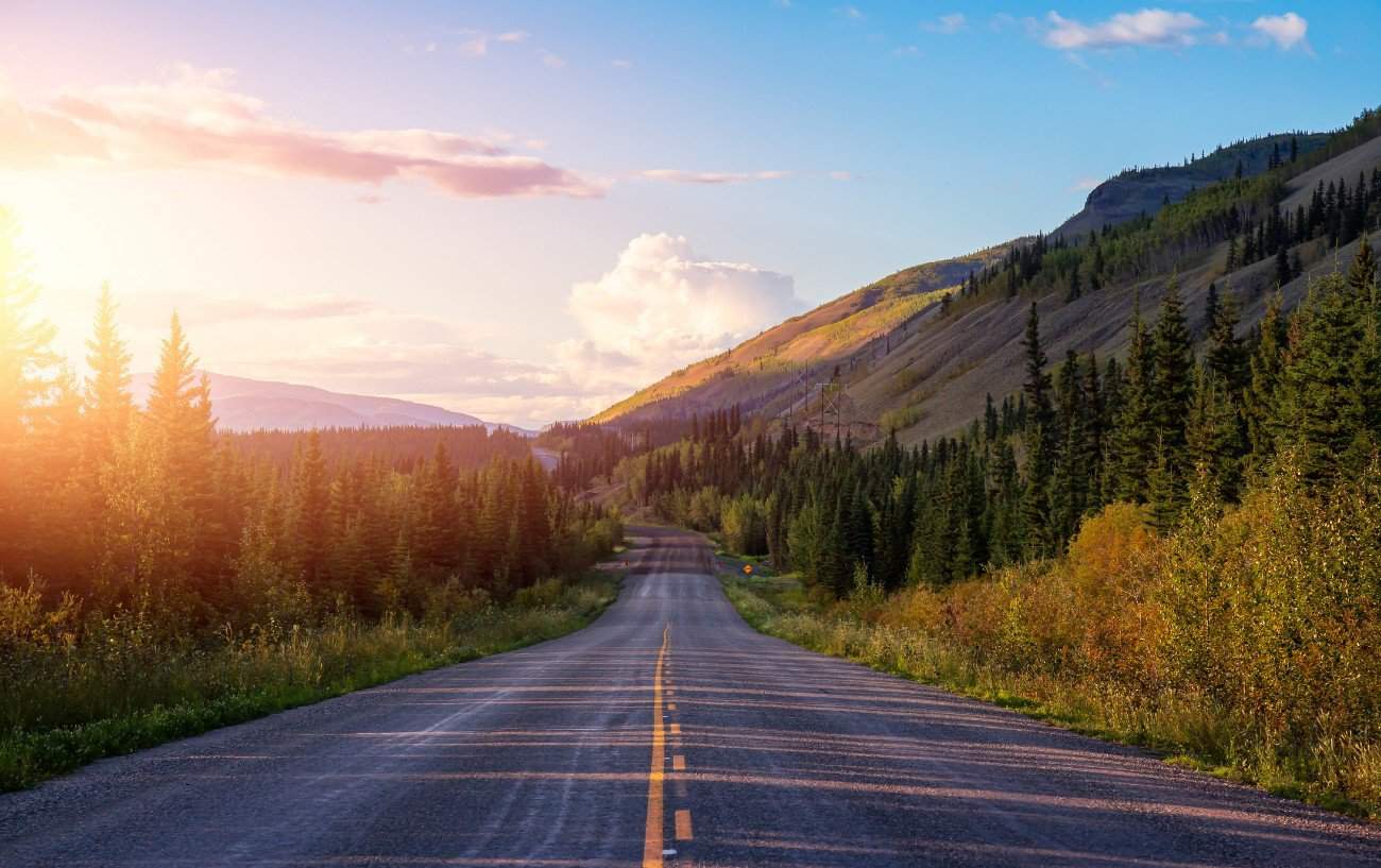 View down a tarmac road through an Oregon forest at sunset.
