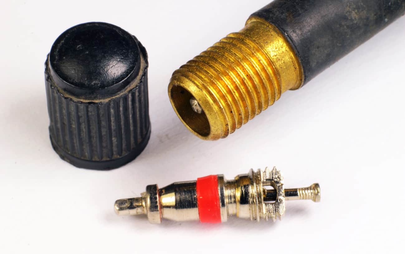 Schrader valve, complete with cap and pin.