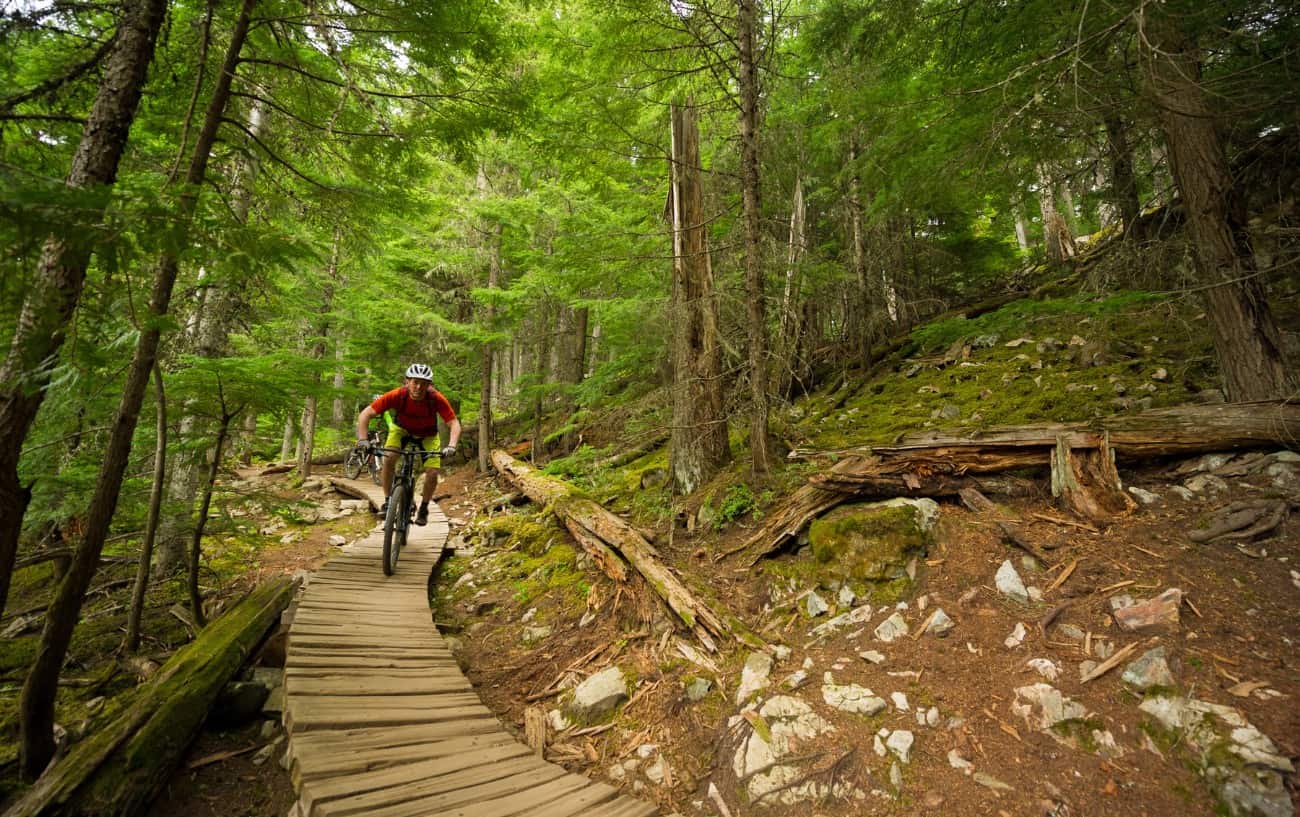 Two cyclists ride an MTB trail across wooden planks through a lush forest.