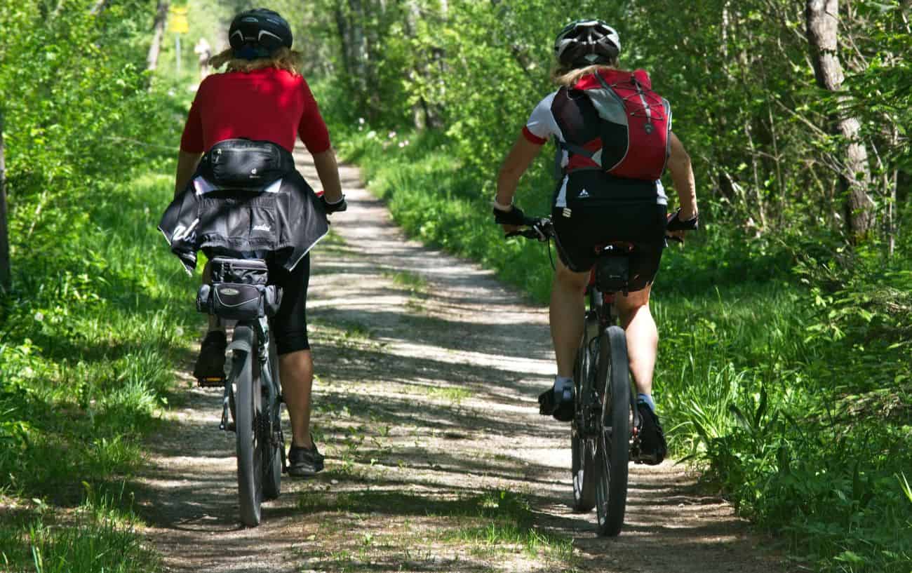 A couple ride through a dappled forest on mountain bikes.