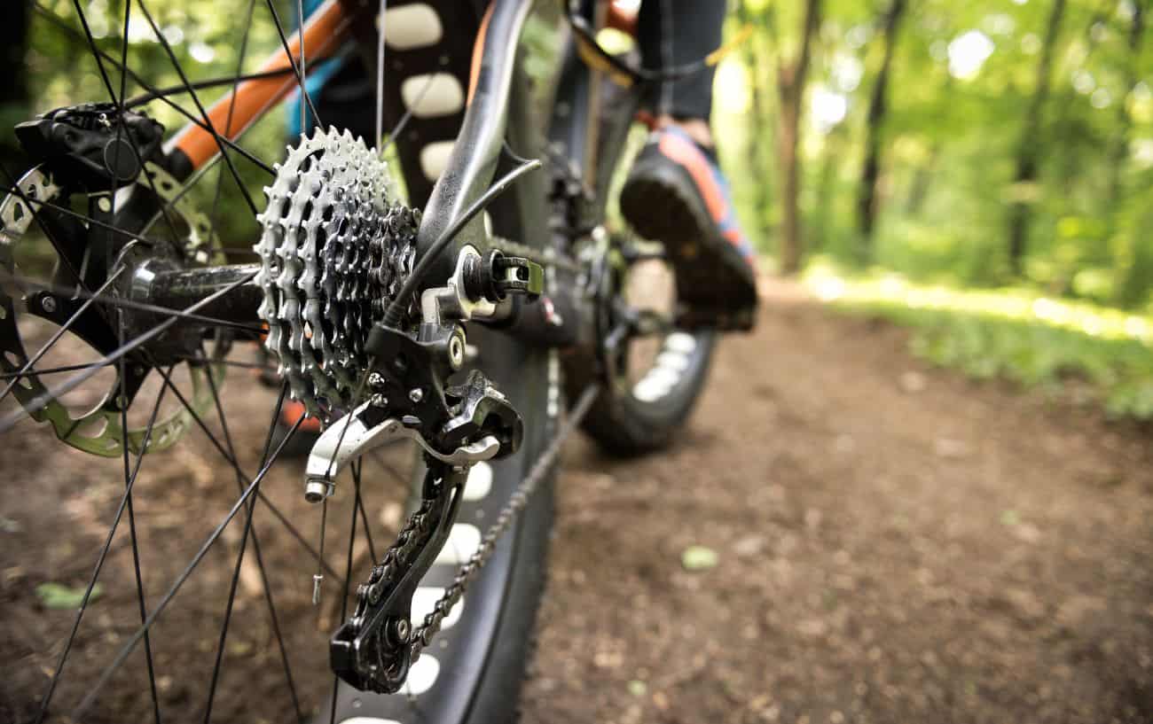 Close-up of the cassette of a fat bike.