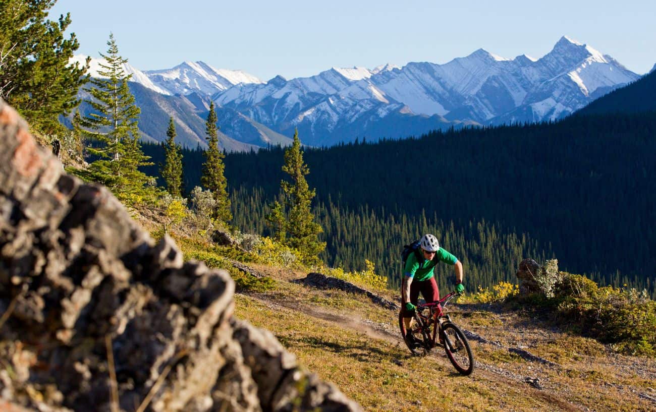 A mountain biker wearing a green top races down a trail with mountains in the background.