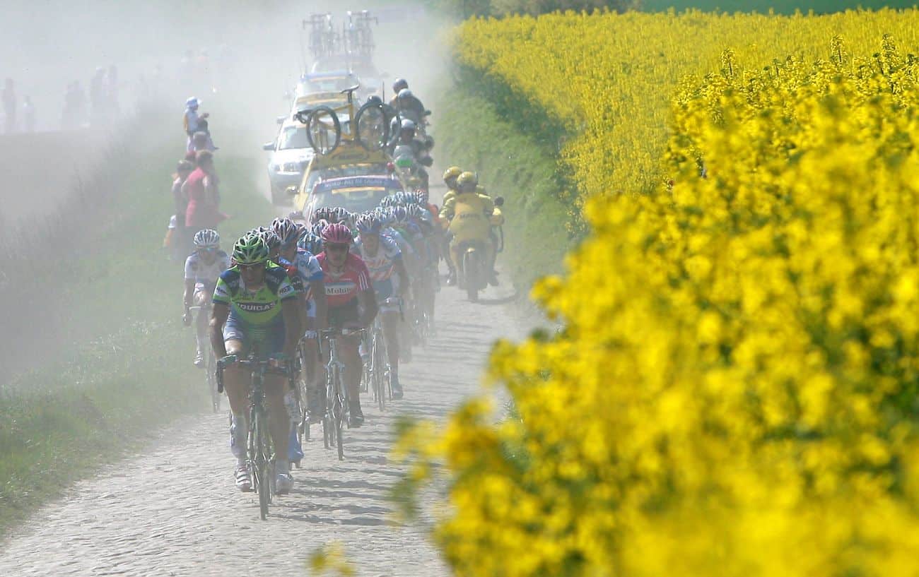 The peloton rides past a field of yellow flowers at the Paris-Roubaix.
