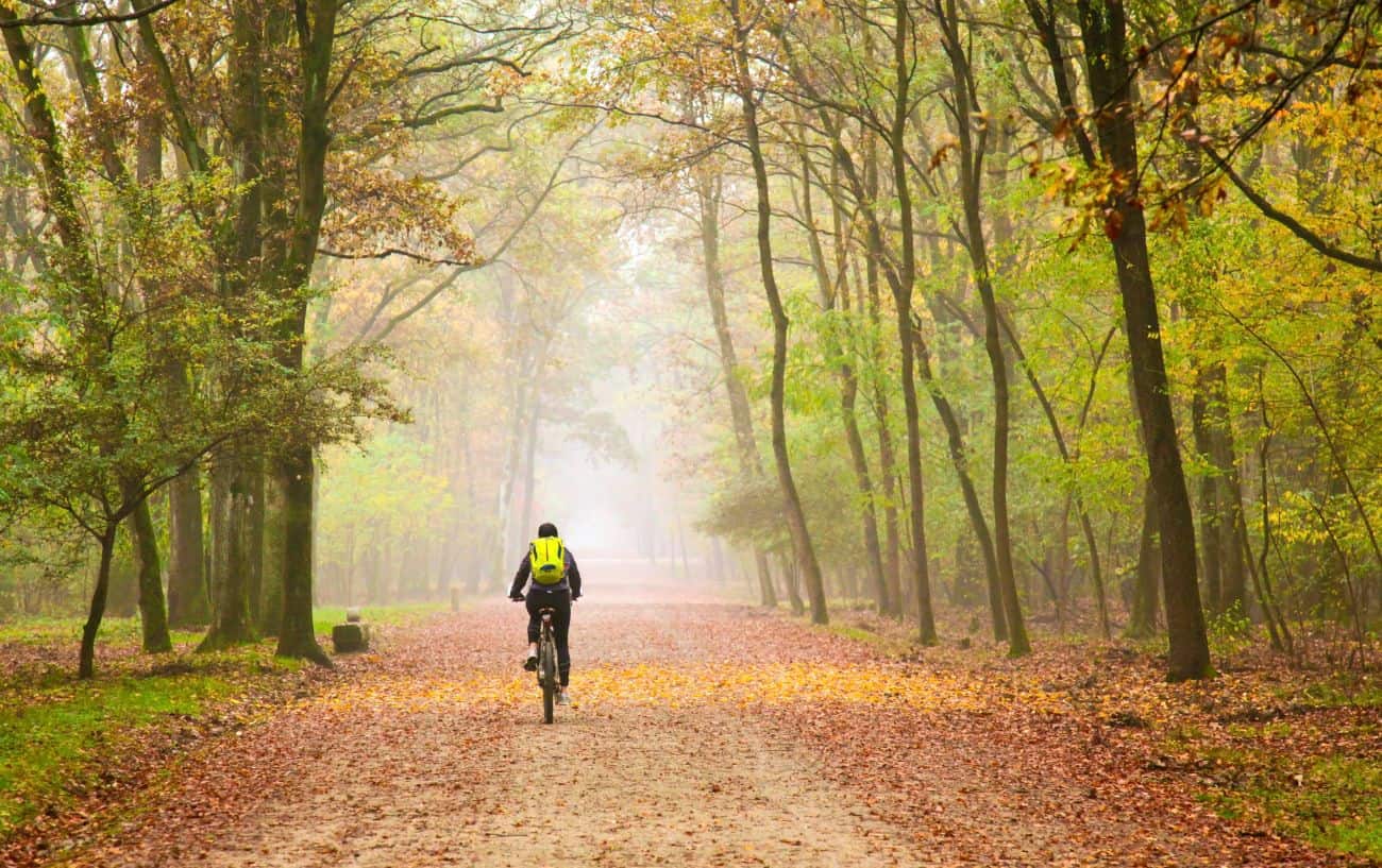 A cyclist rides through an autumnal forest.