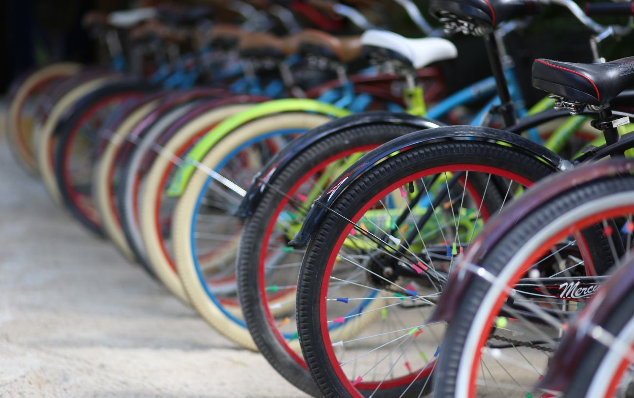 A row of bikes lined up in stands.