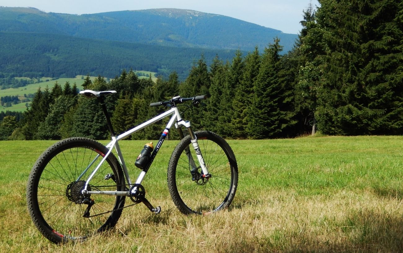 A 1x drivetrain mountain bike stands in a grassy field.