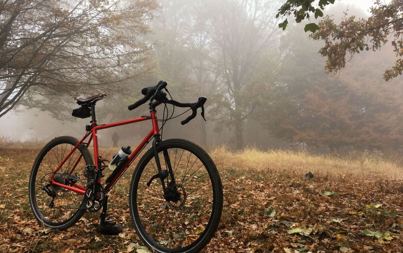 A red gravel bike sits in a forest.