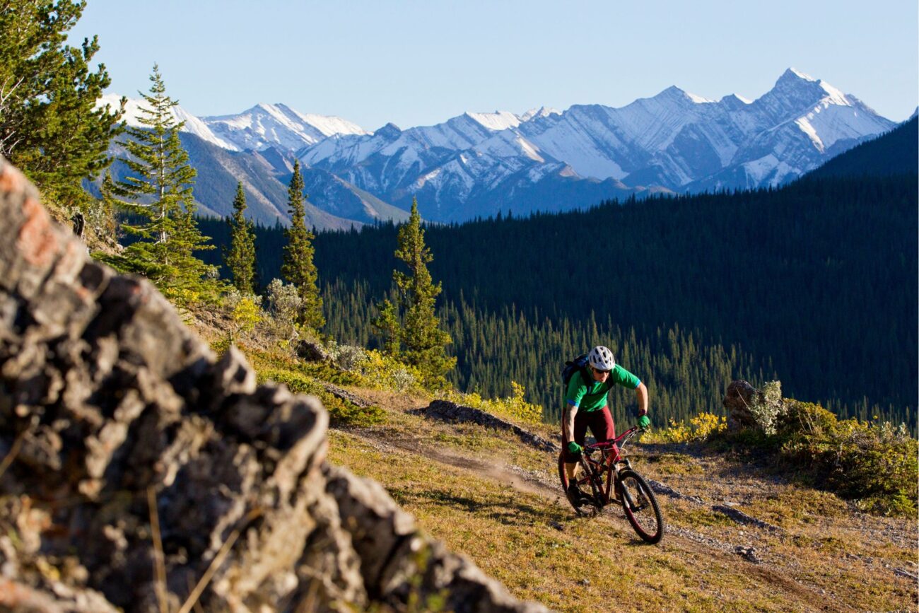 A mountain biker descends into a valley with snow-capped peaks in the background.