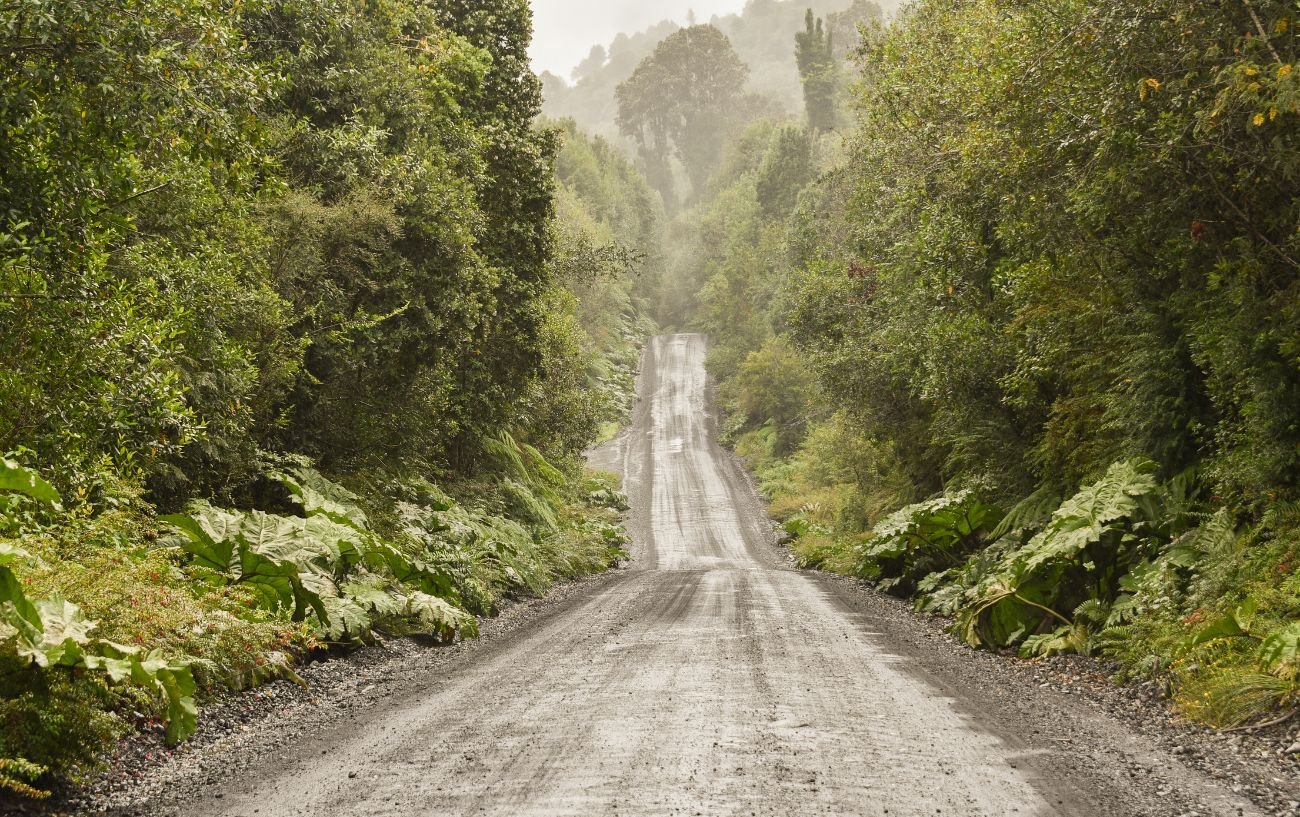 The Carretera Austral plunges into jungle.