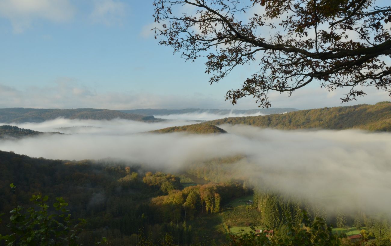 A morning view over the misty Ardennes forest.