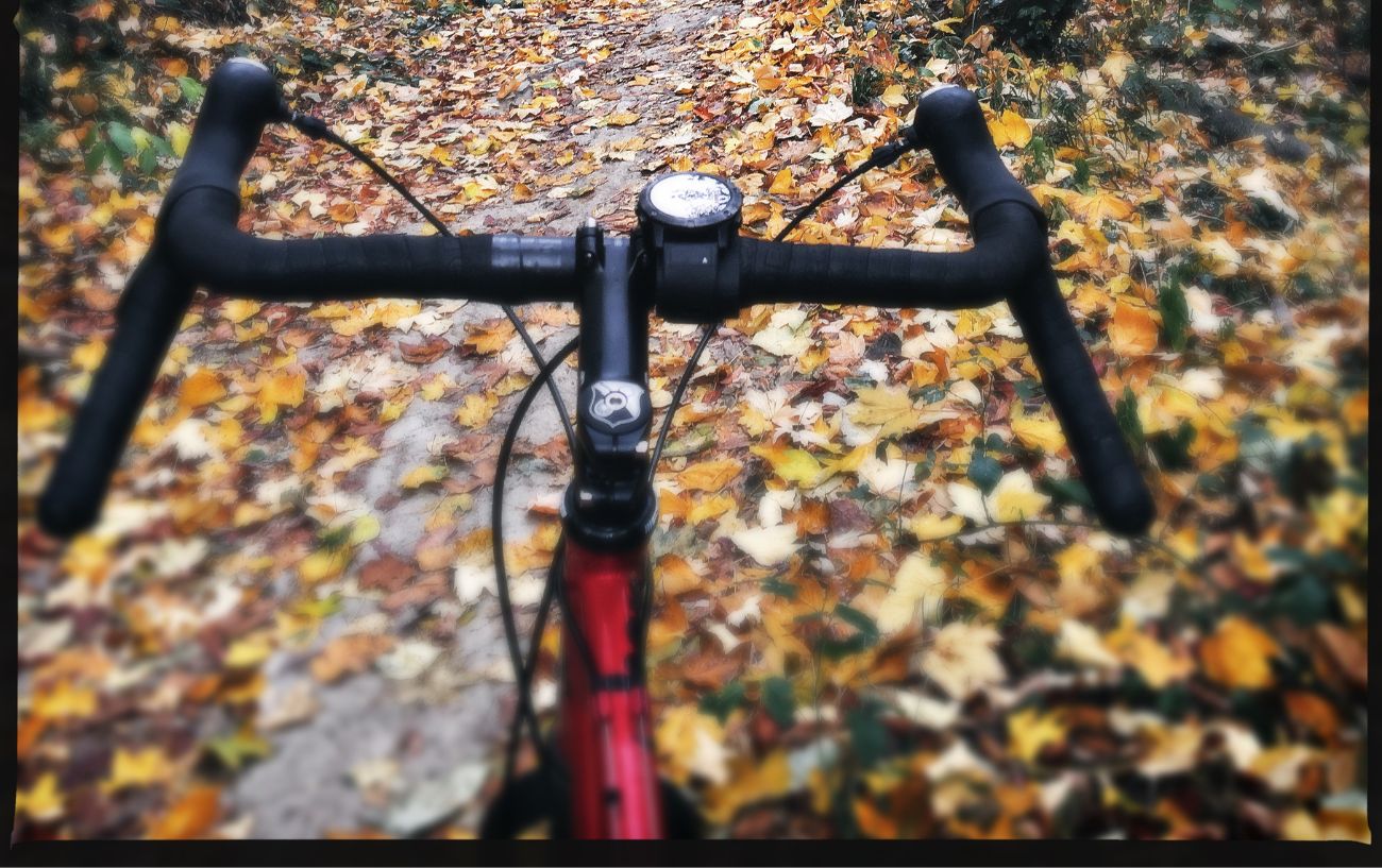 Flared drop handlebars on a gravel bike.