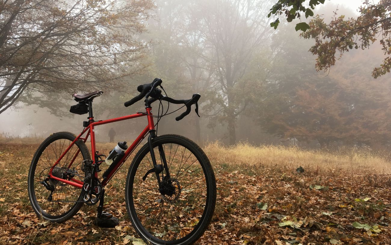 A red gravel bike stands in an autumnal forest.