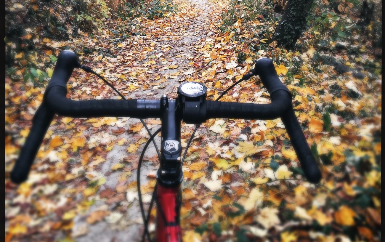 Flared drop handlebars on a gravel bike.