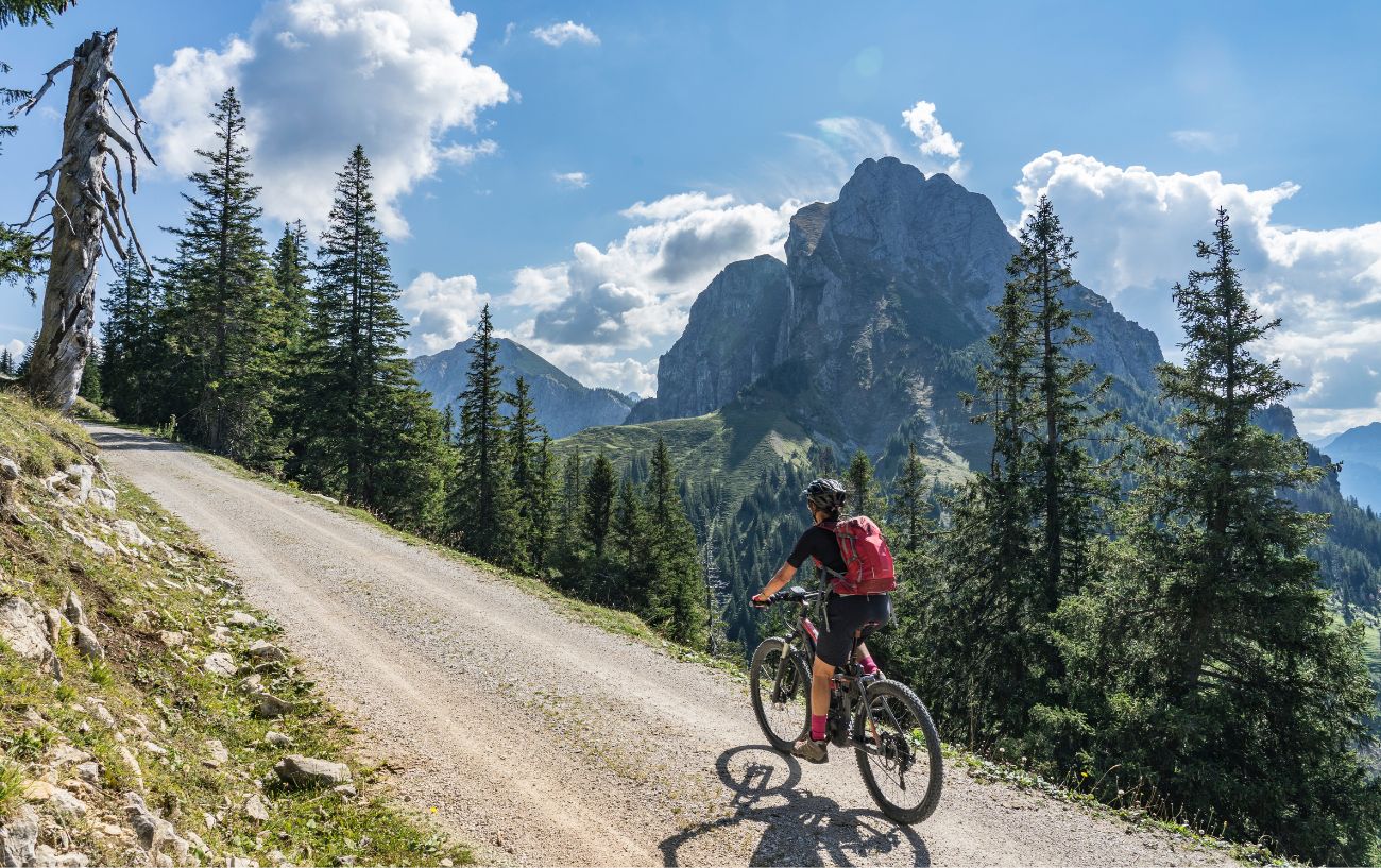 A cyclist climbs a gravel path on a mountain bike.