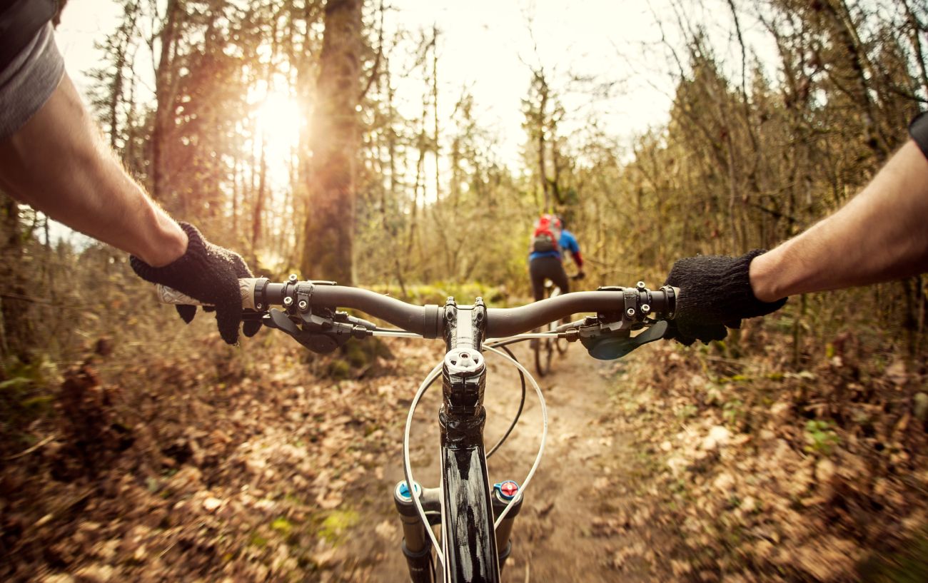 Riding a mountain bike trail from the cyclist's point of view.