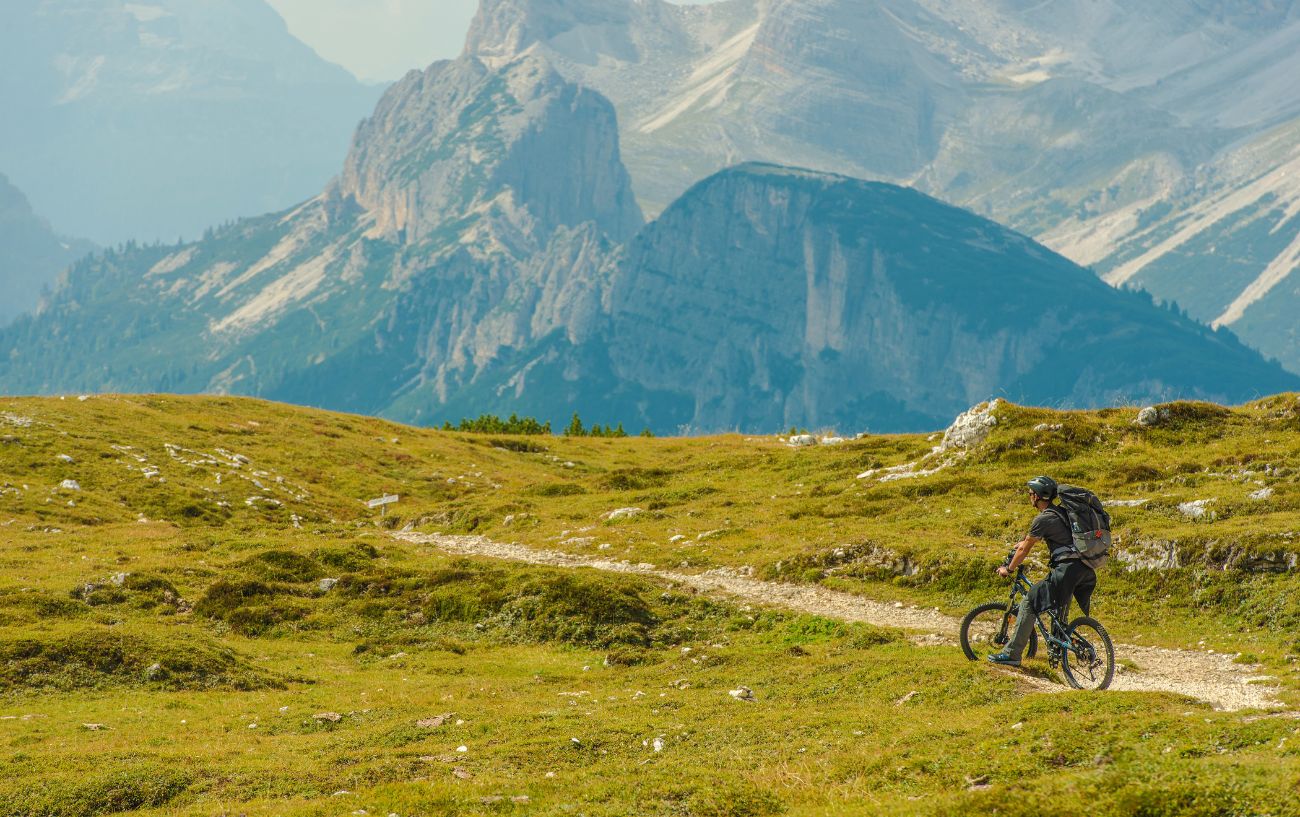 A cyclist on a mountain bike admires a summery alpine view.