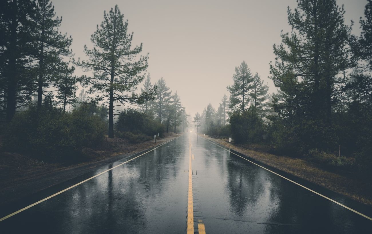 A rain-covered ride with forest on either side.