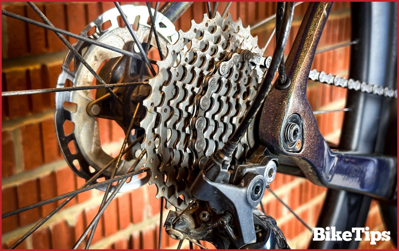 A road bike cassette just after being cleaned with a chain running through.