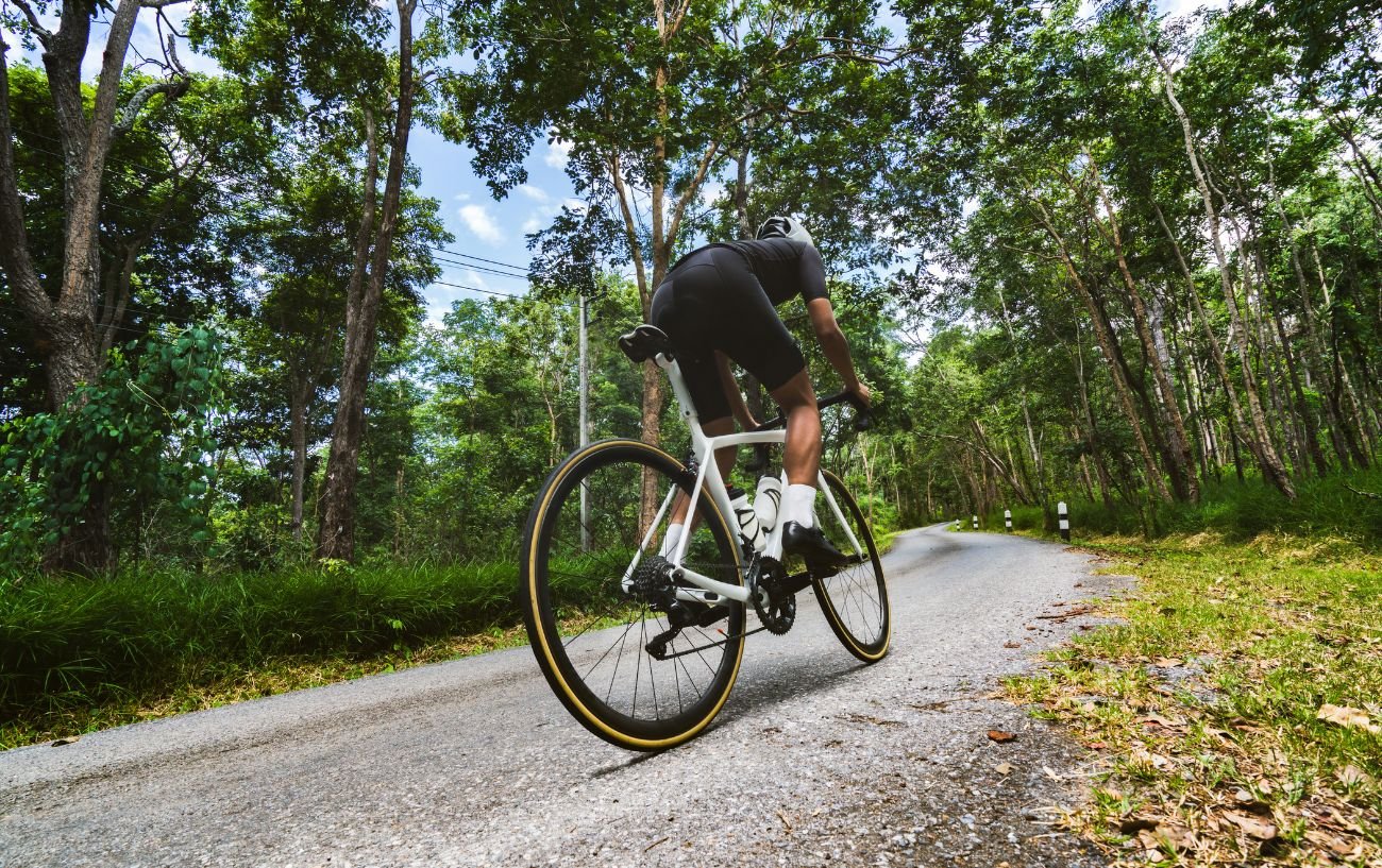 A cyclist climbs a steep forested hill.