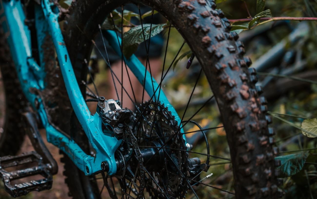 Close-up of the rear wheel of a blue mountain bike.