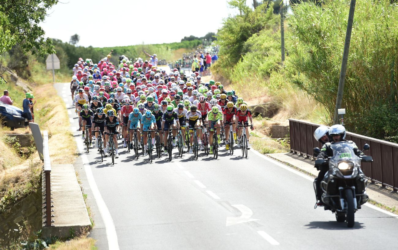 The peloton at the Tour de France.