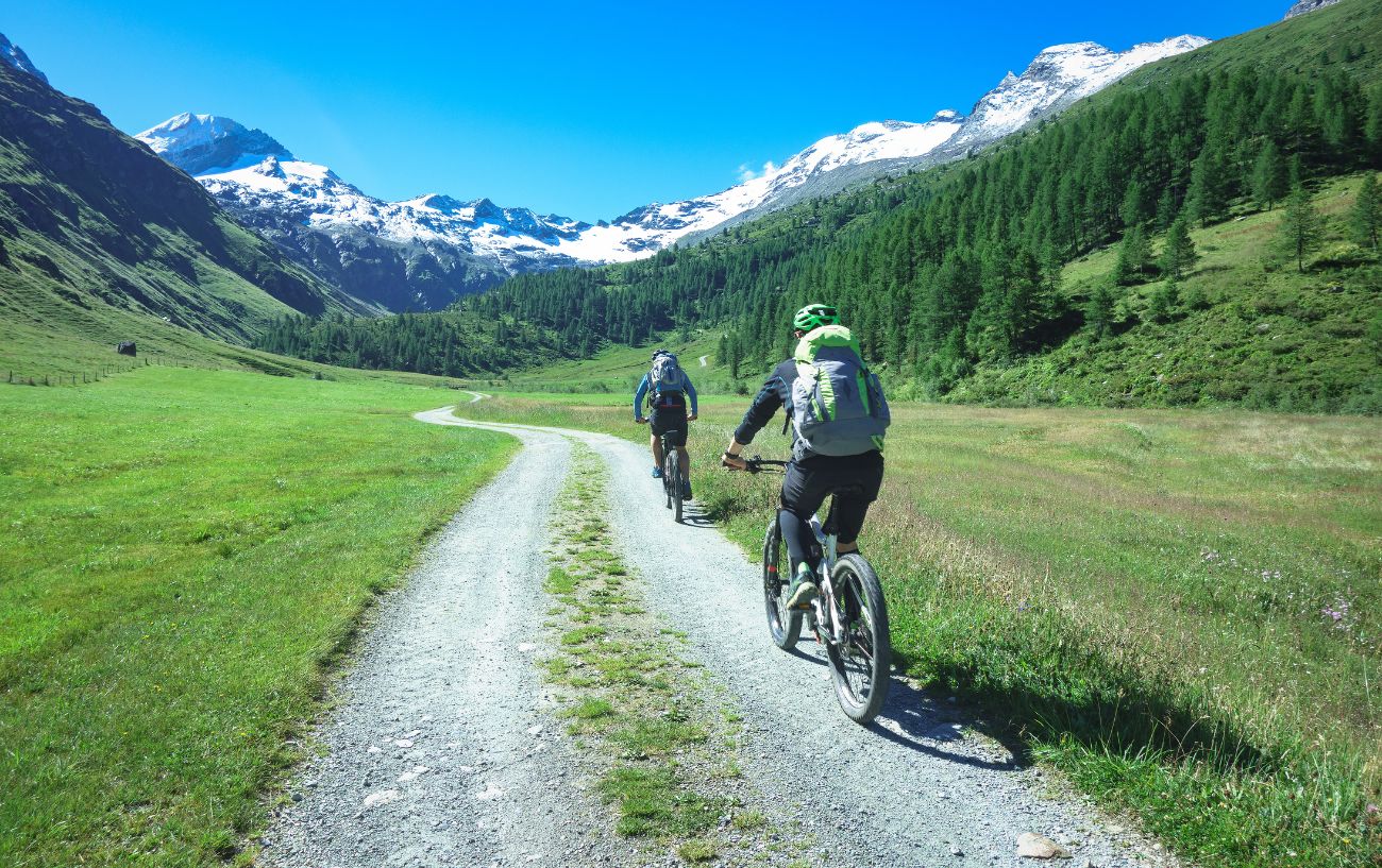 Two mountain bikers ride through an Alpine valley.