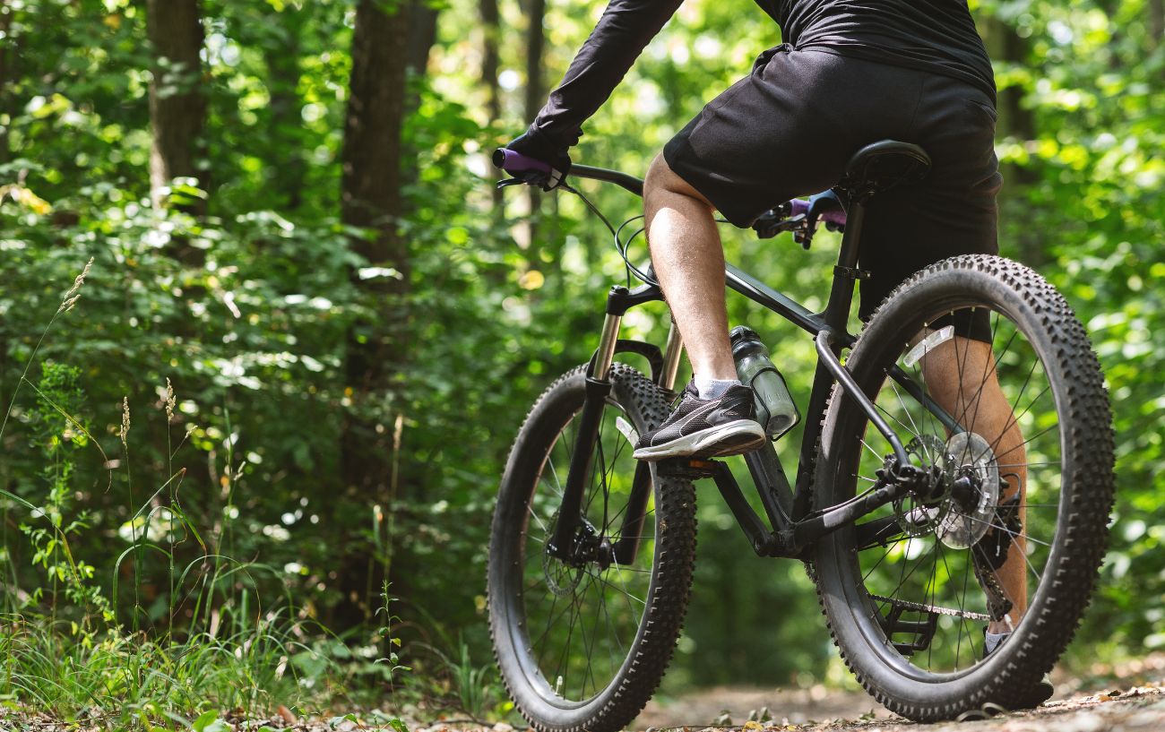 A cyclist sits on a black mountain bike in a forest.