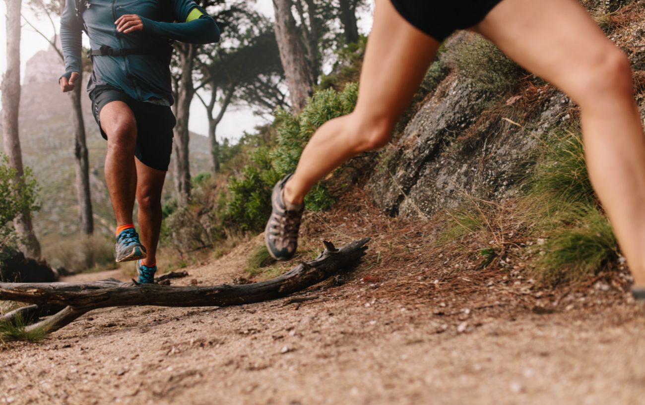 Two runners take on a trail through a forest.