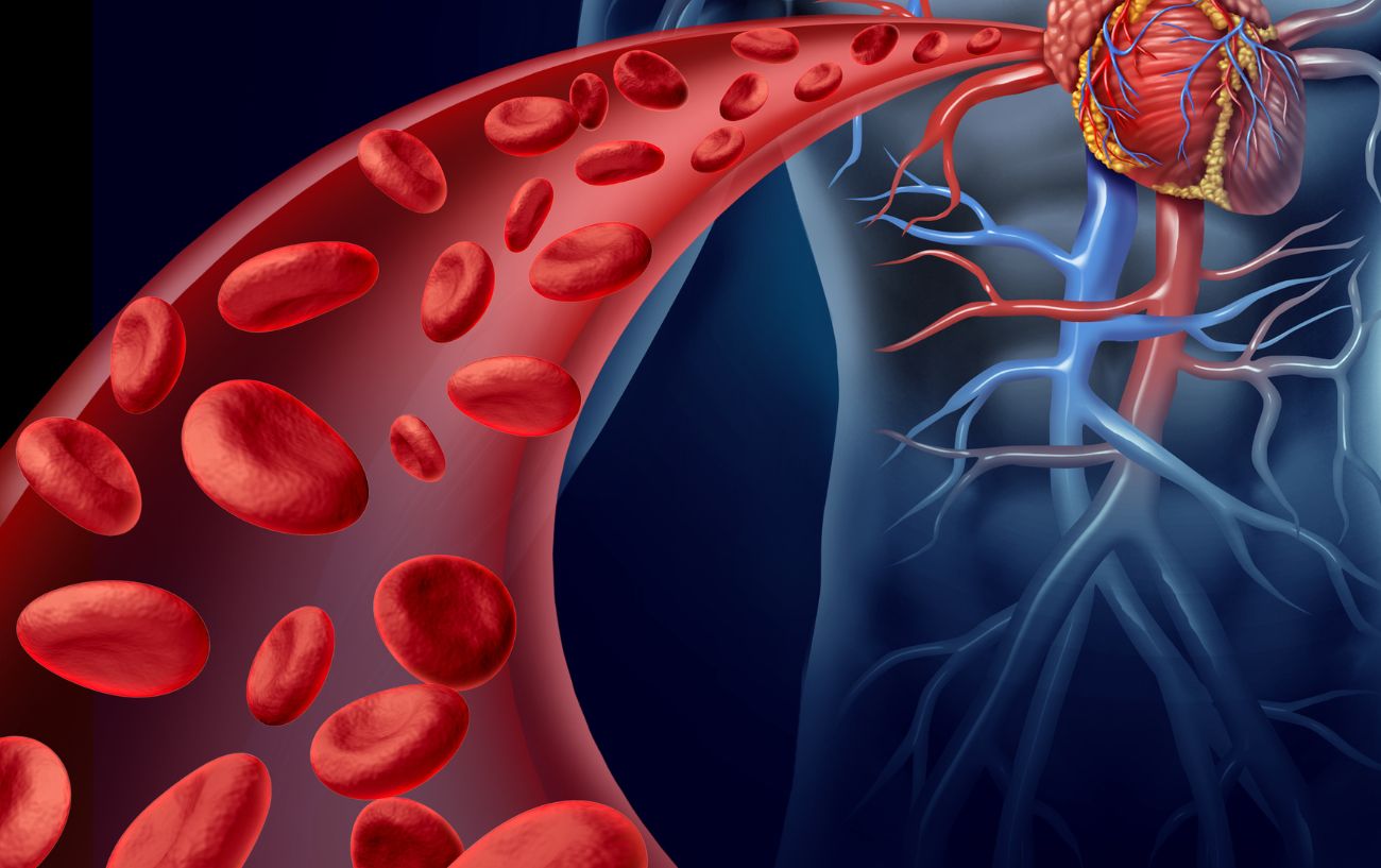 Diagram of the cardiovascular system with the heart and blood platelets. 