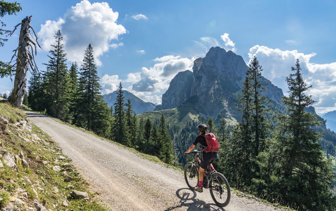 A mountain biker cycles up a gravel path with pine trees and mountains in the background. 