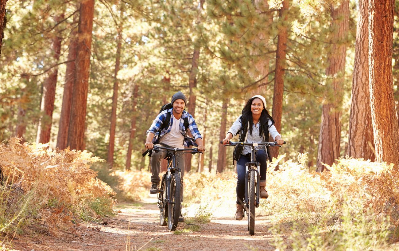 Two cyclists ride their bikes through the forest.