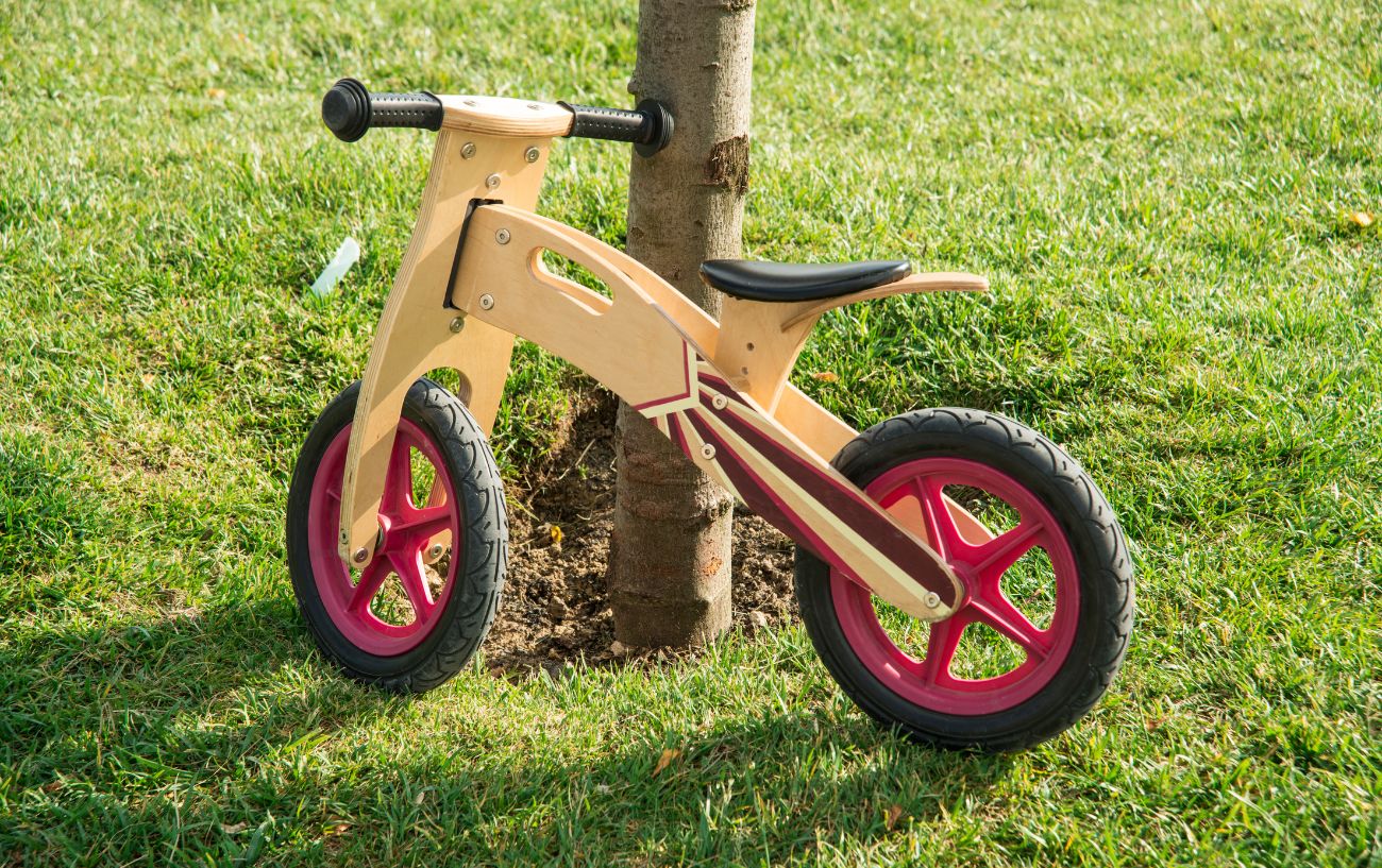 A wooden balance bike leans against a small tree.