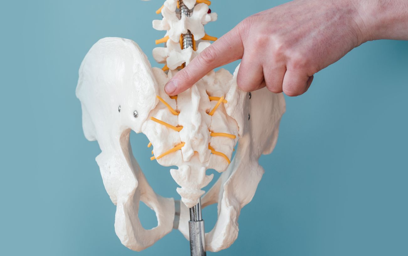 A doctor points out the sacroiliac (SI) joint on a model skeleton.