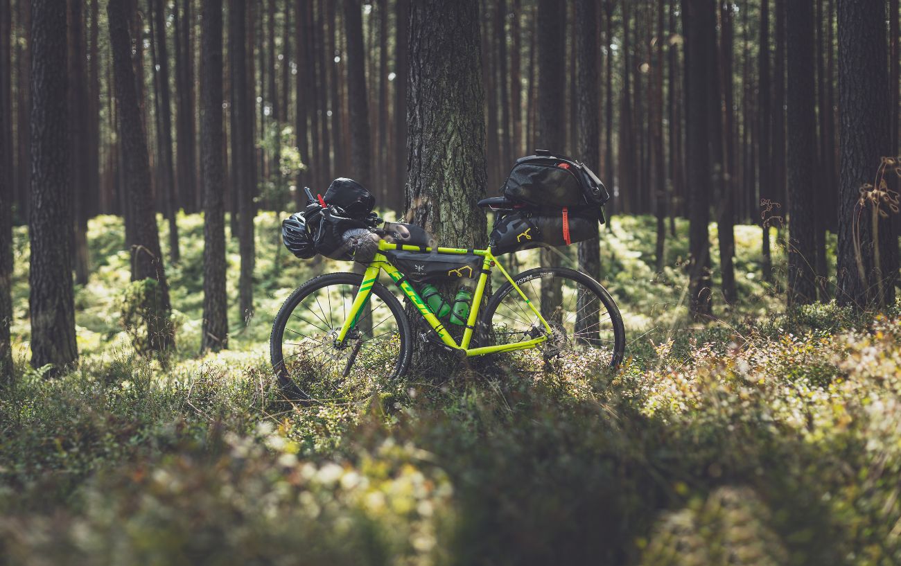 A yellow touring bike rests up against a tree in a woods.