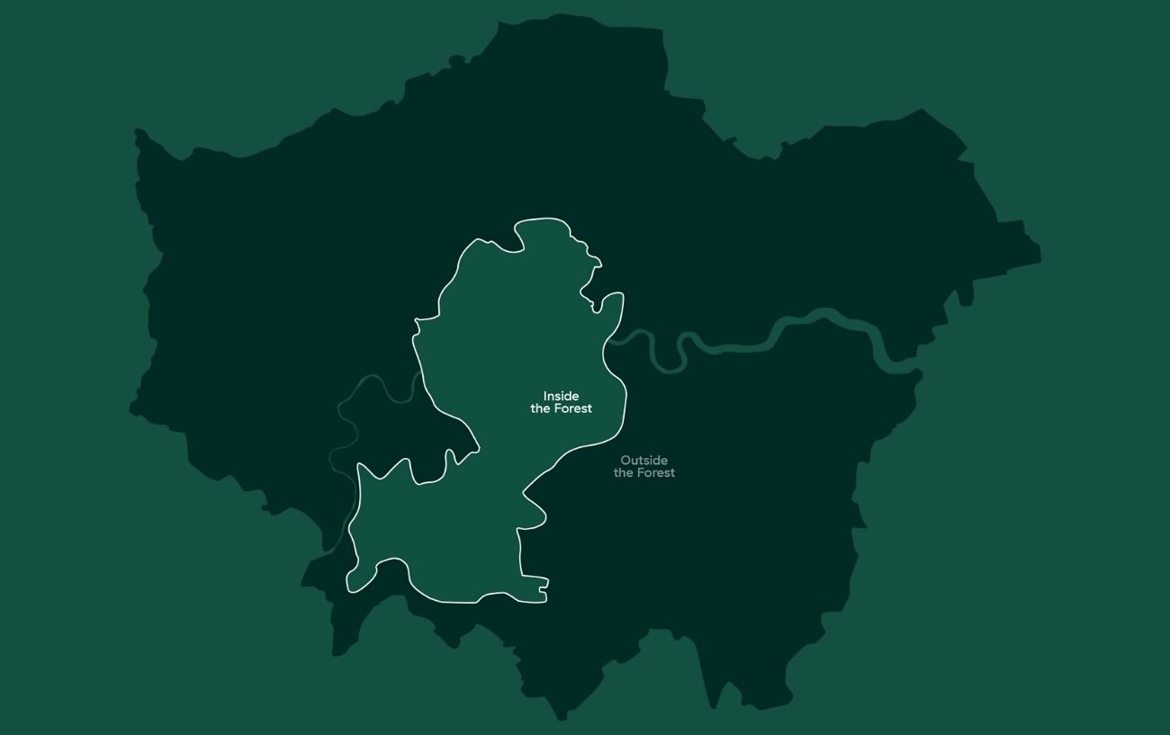 HumanForest Vs TIER Vs Lime: Which London Electric Bike Is Best? (Updated October 2023) 1