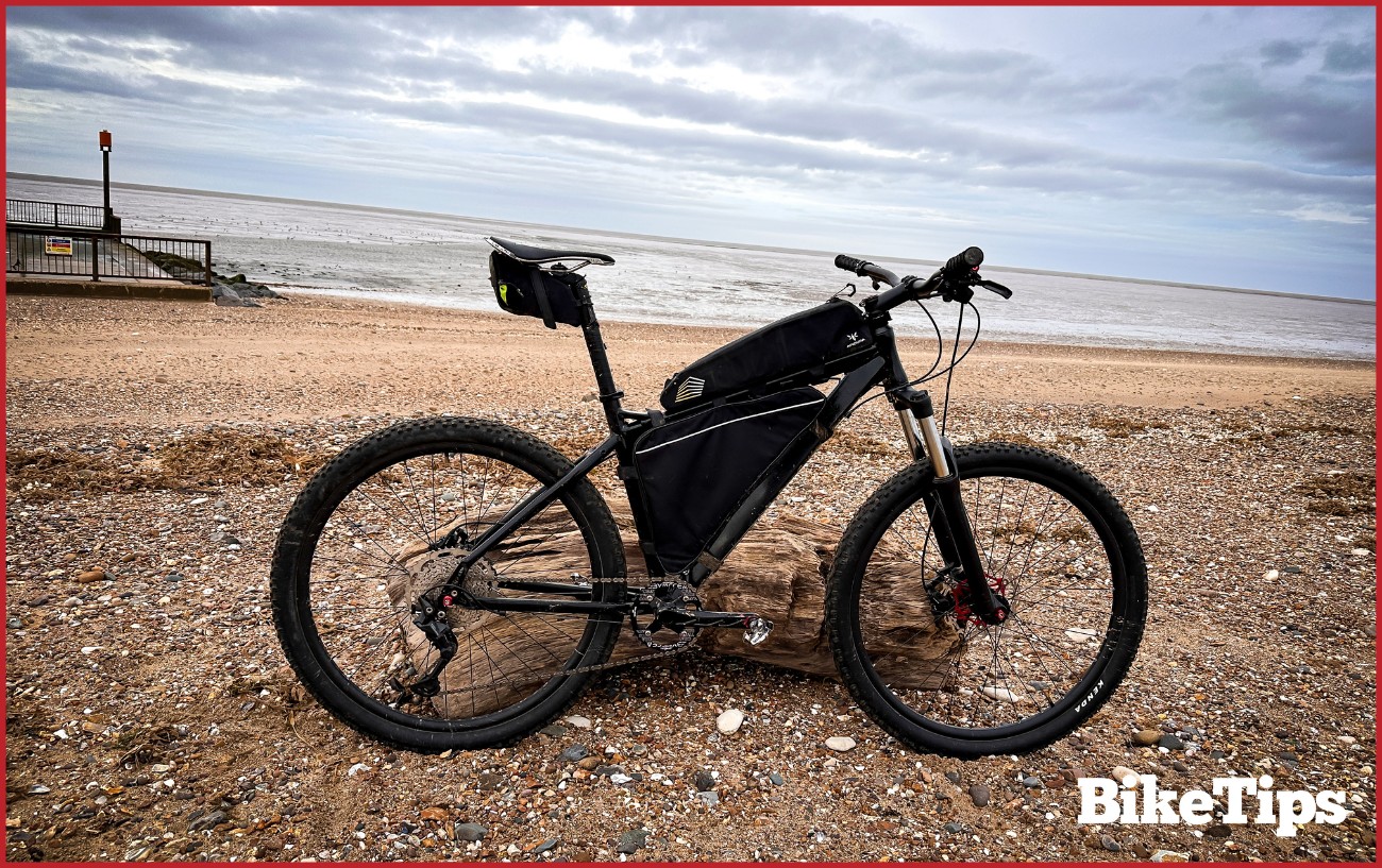 A mountain bike against a log on the beach.