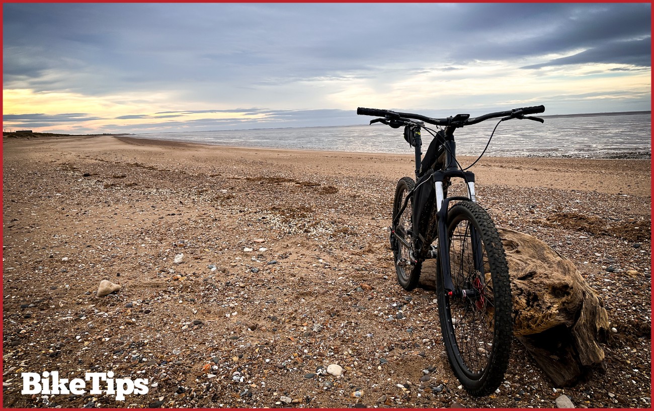 A mountain bike against a log on the beach.