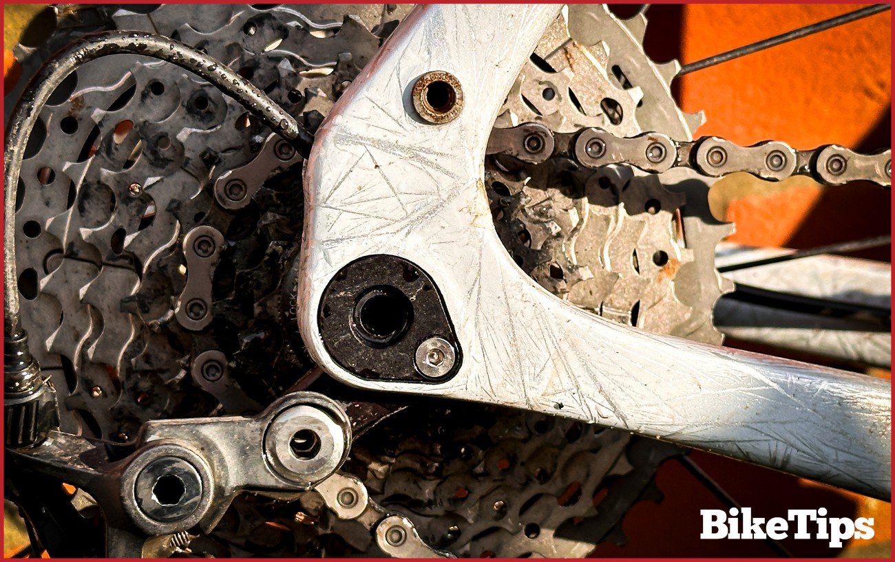 Thru-axle dropout on my gravel bike.