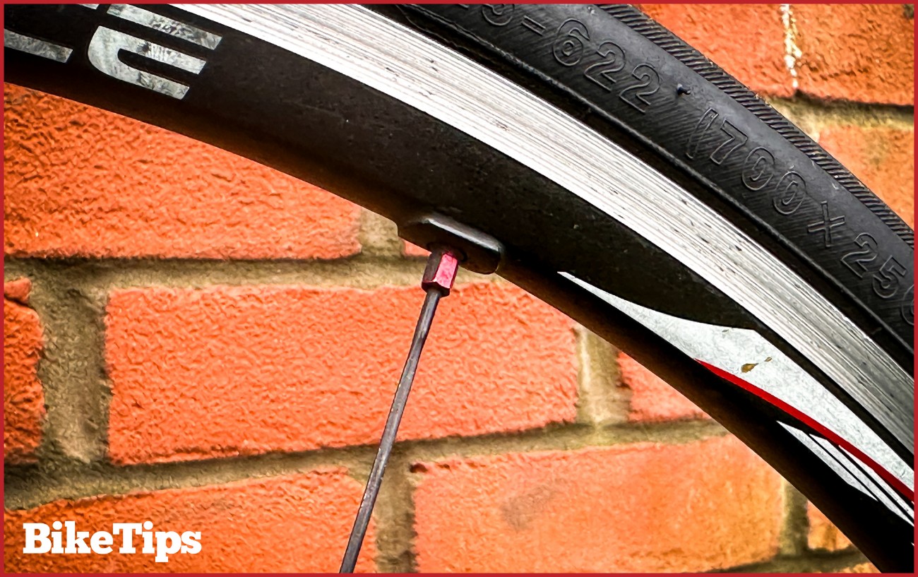 A single red spoke on a bike wheel.